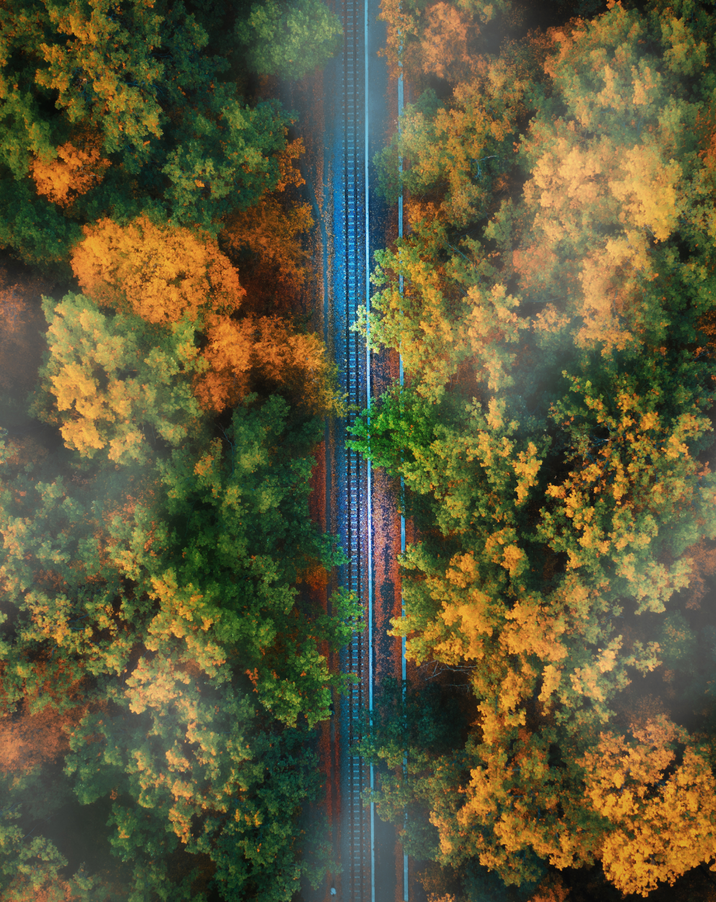 Background bottom